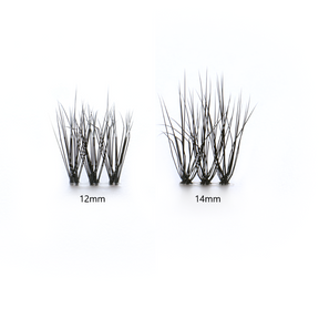 Aline Black Lashes