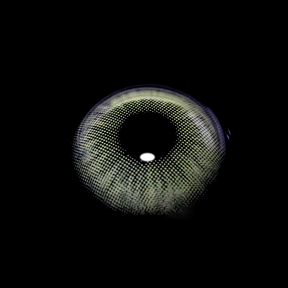 Dawn Green Colored Contact Lenses