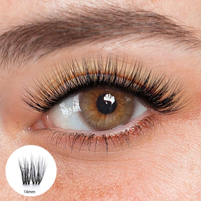 Adriana Black Lashes