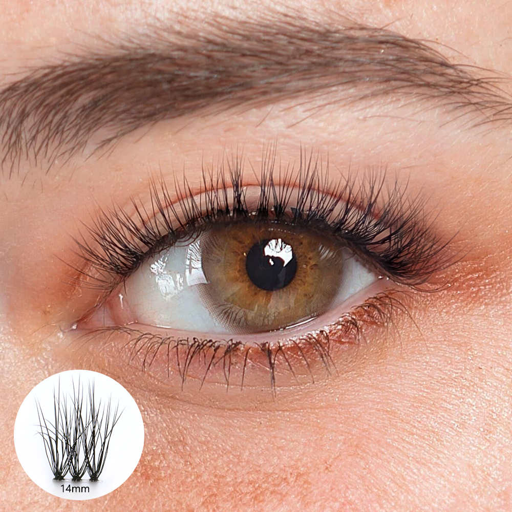 Aline Black Lashes