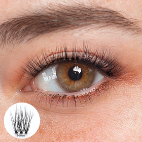 Aline Black Lashes