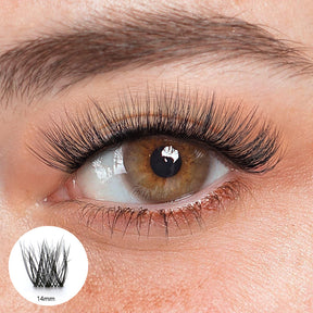 Bianca Black Lashes