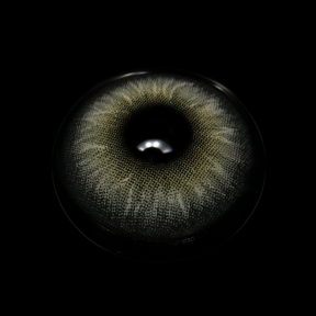 Claudina Sea Gray Colored Contact Lenses