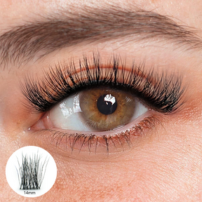 Maria Black Lashes