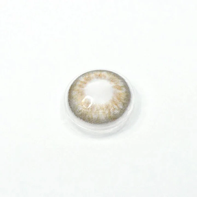 DNA Taylor Brown Daily (10 Pcs) Colored Contact Lenses
