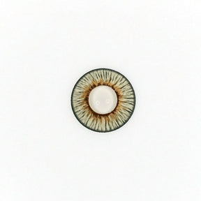 New York Angeles Gray Colored Contact Lenses